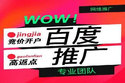 网络推广秘籍：竞价排名成功案例集锦